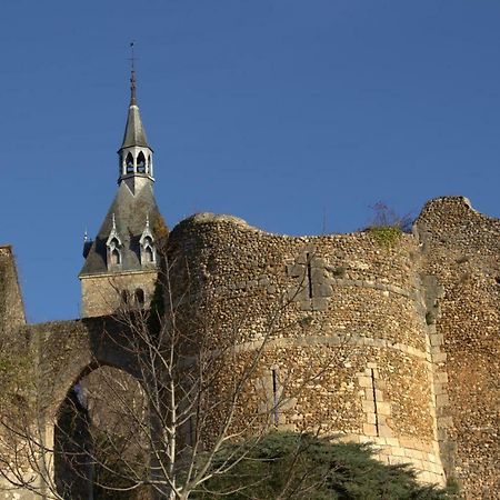 Gite "La Mesangerie" Βίλα Château-Renard Εξωτερικό φωτογραφία