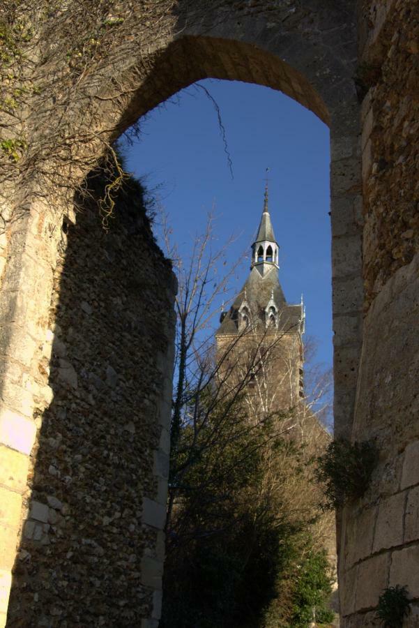 Gite "La Mesangerie" Βίλα Château-Renard Εξωτερικό φωτογραφία